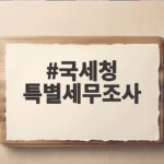 국세청 KB국민은행 특별세무조사 착수 국세청 특별세무조사