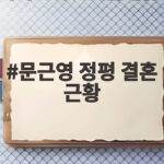 문근영 정평 결혼 근황 알아보기 문근영 정평 결혼 근황