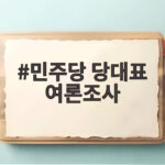 민주당 당대표 여론조사