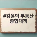 김윤덕 부동산 종합대책