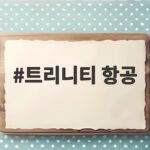 트리니티 항공