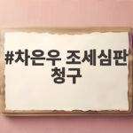 차은우 조세심판 청구