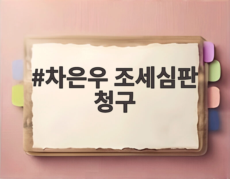 차은우 조세심판 청구 130억 부당 1 차은우 조세심판 청구
