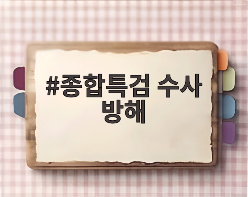 종합특검 수사 방해 혐의 이시원 기소 정리 1 종합특검 수사 방해