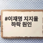 이재명 지지율 하락 원인 민심 분석 이재명 지지율 하락 원인