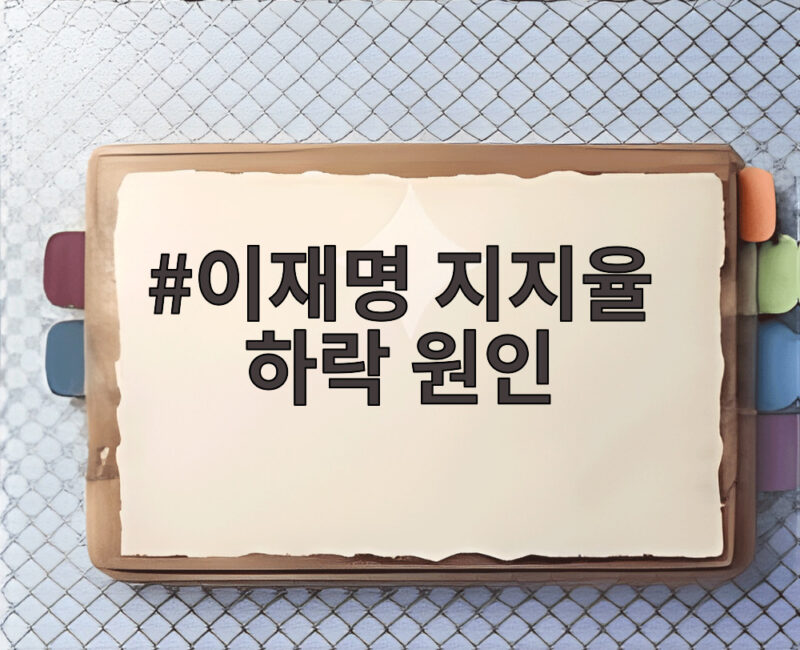 이재명 지지율 하락 원인 민심 분석 1 이재명 지지율 하락 원인