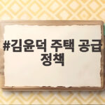 김윤덕 국토장관 주택 공급 대책 핵심 정리 김윤덕 주택 공급 정책