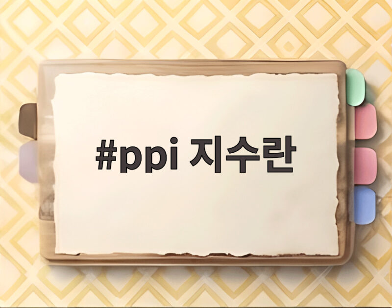 ppi 지수란