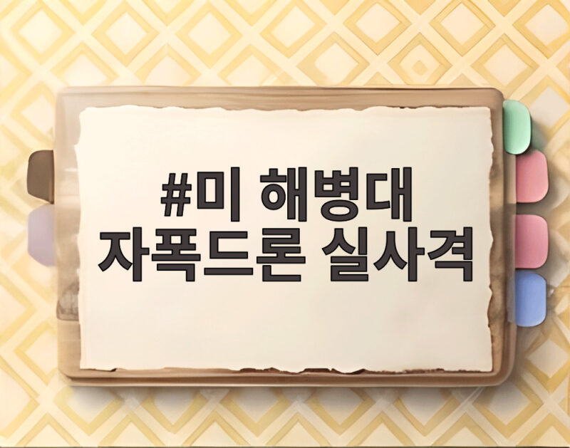 미 해병대 자폭드론 실사격 훈련 성공 1 미 해병대 자폭드론 실사격
