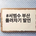 서범수 부산 돌려차기 발언 논란 사과 서범수 부산 돌려차기 발언