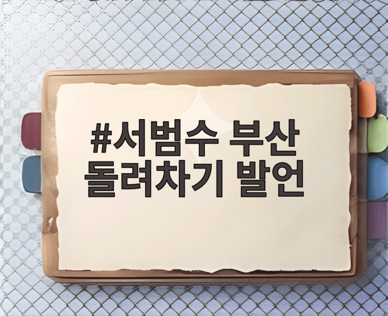 서범수 부산 돌려차기 발언