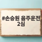 손승원 음주운전 2심 형량 두배 손승원 음주운전 2심