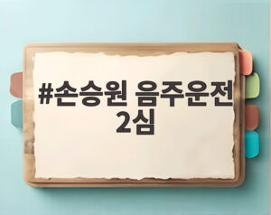 손승원 음주운전 2심