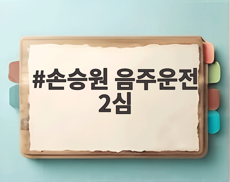 손승원 음주운전 2심
