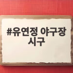 유연정 첫 단독 야구장 시구 유연정 야구장 시구