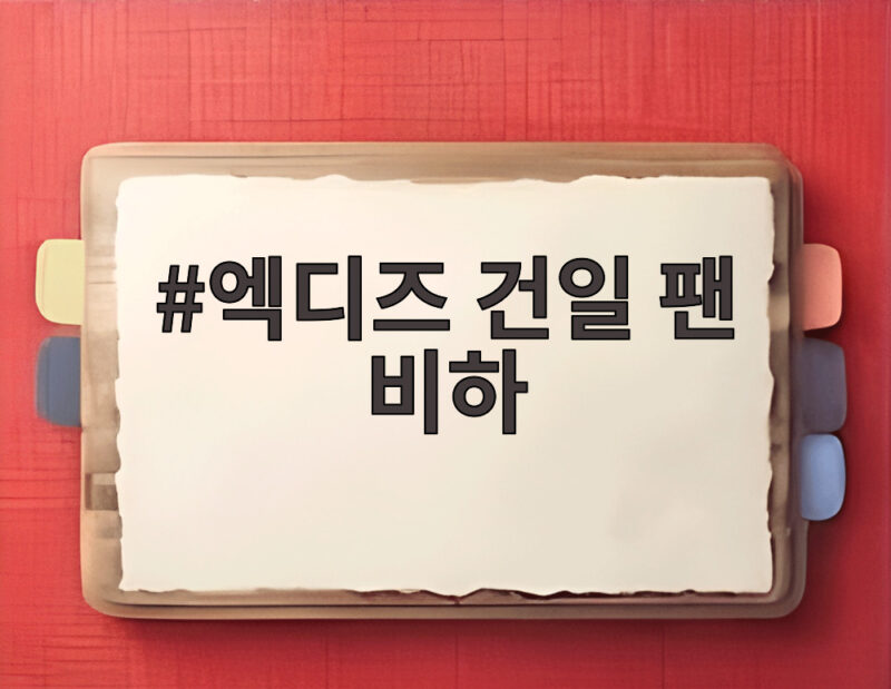 엑디즈 건일 팬 비하 전말 1 엑디즈 건일 팬 비하