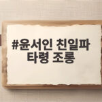 윤서인 친일파 타령 조롱 논란 정리 윤서인 친일파 타령 조롱