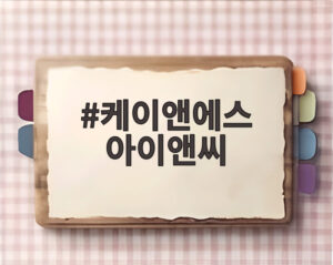 케이앤에스 아이앤씨