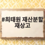 최태원 재산분할 재상고 9440억 확정 여부 최태원 재산분할 재상고
