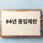 4년 중임제란 무엇이고 대통령 개헌 논의 4년 중임제란