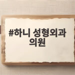 하니 성형외과 의원, 전문의 확인이 중요 하니 성형외과 의원