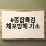 종합특검 체포방해 기소 의원 4명 핵심 내용 종합특검 체포방해 기소