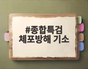 종합특검 체포방해 기소