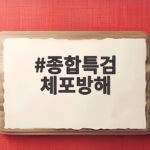 종합특검 체포방해 국민의힘 의원 기소 종합특검 체포방해