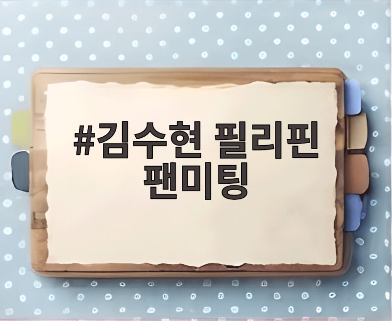 김수현 필리핀 팬미팅