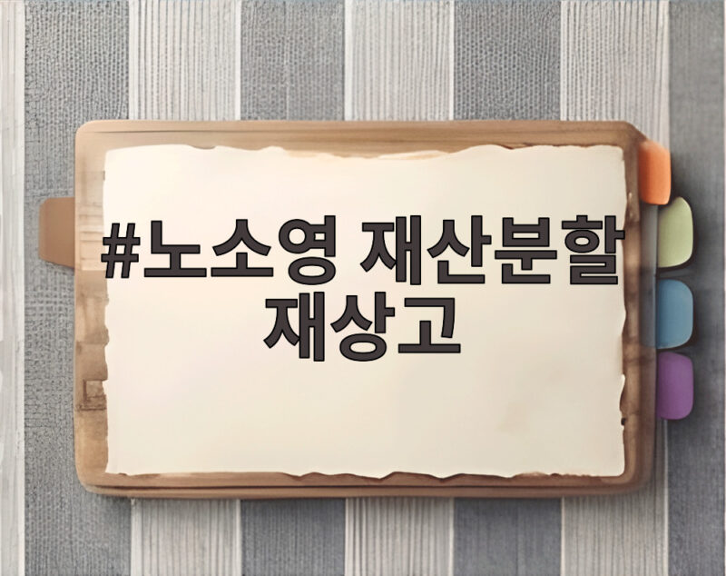 노소영 재산분할 재상고