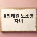 최태원 노소영 자녀와 9440억 판결 오늘 결판 최태원 노소영 자녀