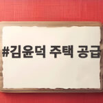 김윤덕 주택 공급