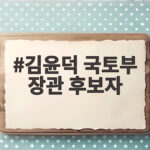 김윤덕 국토부 장관 후보자 부동산 대책 전망 김윤덕 국토부 장관 후보자
