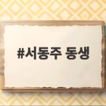 서동주 동생과 연락 끊긴 이유 서동주 동생