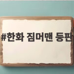 한화 짐머맨 등판