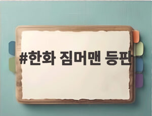 한화 짐머맨 등판