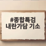 종합특검 내란가담 기소