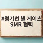 정기선 빌 게이츠 SMR 협력으로 열린 미래 정기선 빌 게이츠 SMR 협력