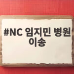 NC 임지민, 타구에 얼굴 맞아 병원 이송 NC 임지민 병원 이송