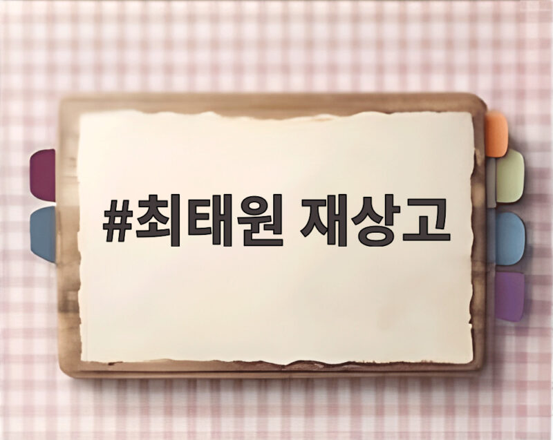 최태원 재상고 결정과 향후 전망 1 최태원 재상고