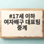 17세 이하 여자배구 대표팀 중계 일정과 시청법 17세 이하 여자배구 대표팀 중계