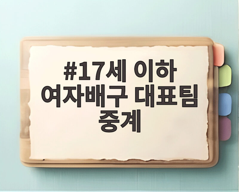 17세 이하 여자배구 대표팀 중계