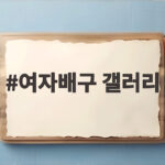 여자배구 갤러리 핫이슈와 팬들 여자배구 갤러리