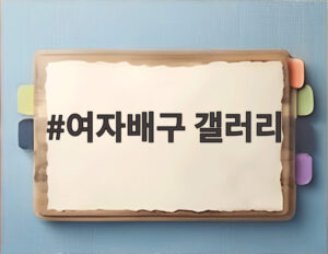 여자배구 갤러리