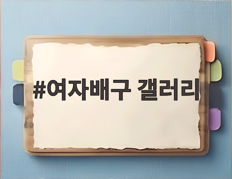 여자배구 갤러리 핫이슈와 팬들 1 여자배구 갤러리