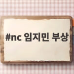 NC 임지민, 안면 골절로 수술 nc 임지민 부상