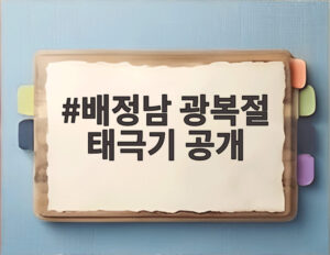 배정남 광복절 태극기 공개