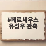 페르세우스 유성우 관측 최적 조건과 팁 페르세우스 유성우 관측