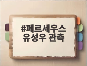 페르세우스 유성우 관측