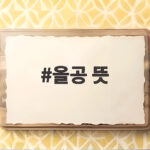 올공 뜻과 광복절 집회 논란 분석 올공 뜻